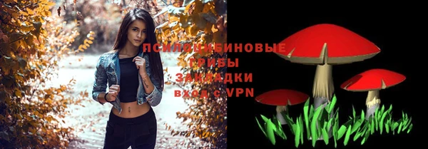мяу мяу мука Михайловск
