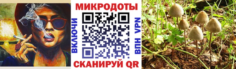 где купить наркоту Томилино Псилоцибиновые грибы ЛСД