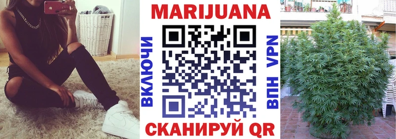 купить  сайты  Томилино  Шишки марихуана план 